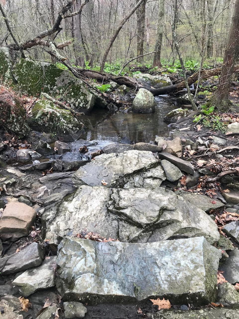 A stone slab bridge crosses one of the feeder streams to the Manton Reservoir at Lime Rock Preserve in Lincoln.