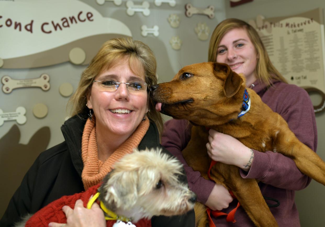 Second Chance Animal Shelter Executive Director Sheryl Blancato holds Hugo with Bethany Bleau and Gotti, both up for adoption Wednesday. Animal Shelters across the country are participating in the 'Betty White Challenge."