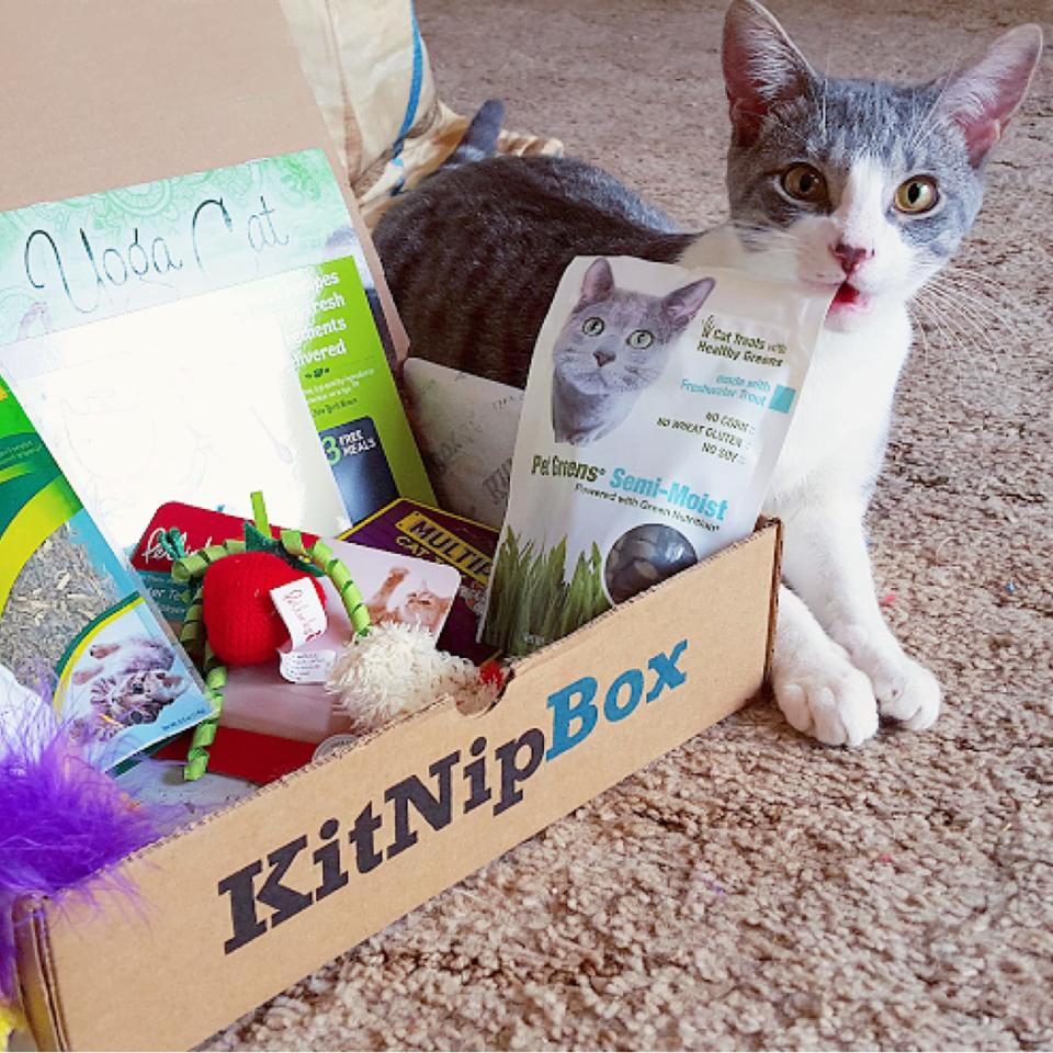 KitNipBox subscription boxes (Photo: Amazon)