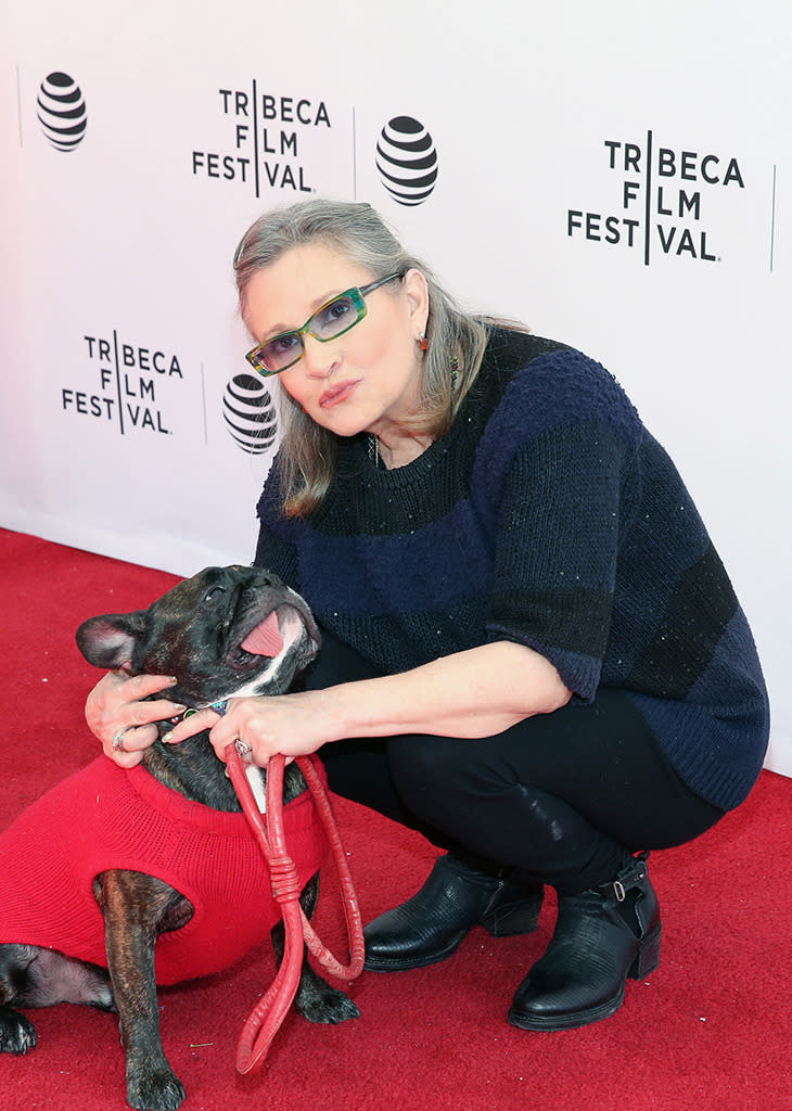 Gary cleans up very well — and we don’t mean just personal grooming. How cute does he look in red at the Tribeca Film Festival, where Fisher was promoting her sitcom, Catastrophe, in April? (Photo: Getty Images)