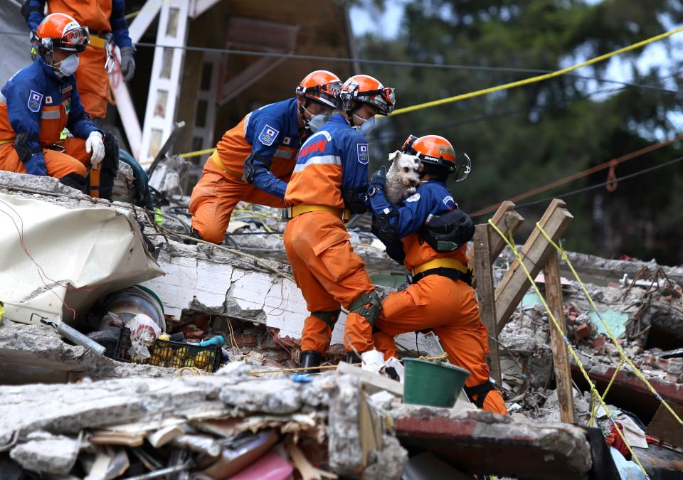 ¿Por qué enamoró a México el equipo japonés de rescate?