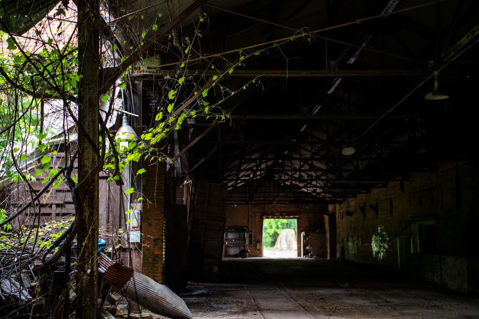 Inside a former brick factory in Alcoa on Monday, May 23, 2022. Company Distilling will eventually turn the building into a place to store barrels and have a tasting room, restaurant, retail store and outdoor entertainment space.