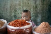 A boy sits next to dried shrimps at a shop in a market in Thanlyin Town, on the other side of the Yangon River, February 6, 2012.