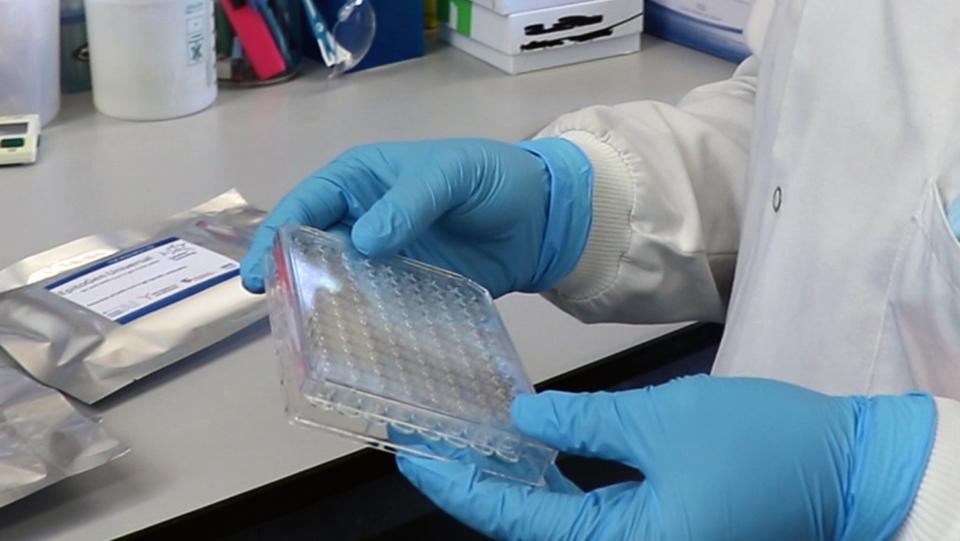 Visitors will be required to do a PCR test (University of Aberdeen/PA) (PA Media)