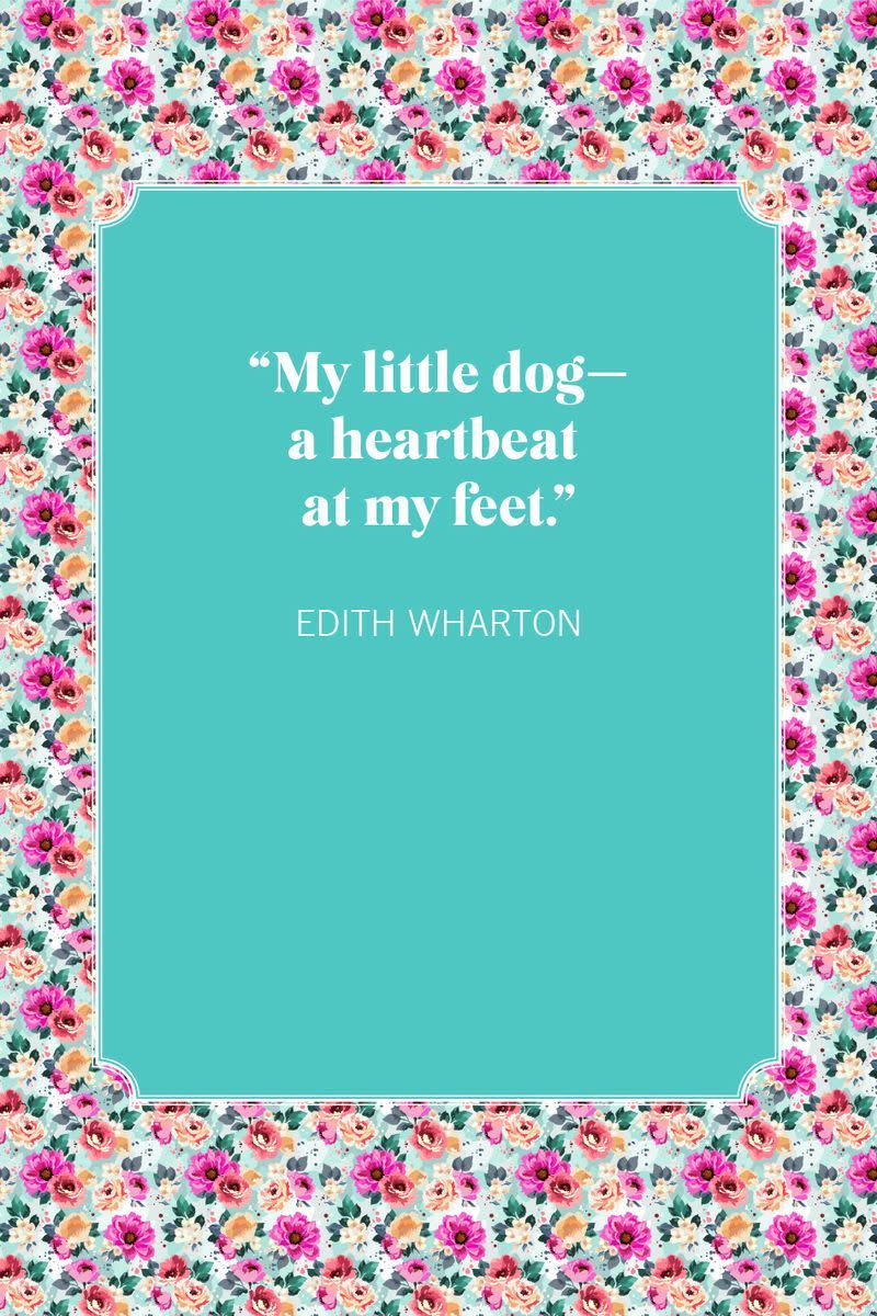 dog mom quotes edith wharton