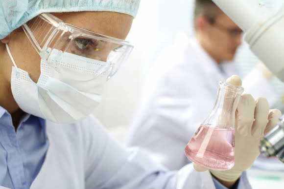 Laboratory worker inspecting a flask with liquid in it.