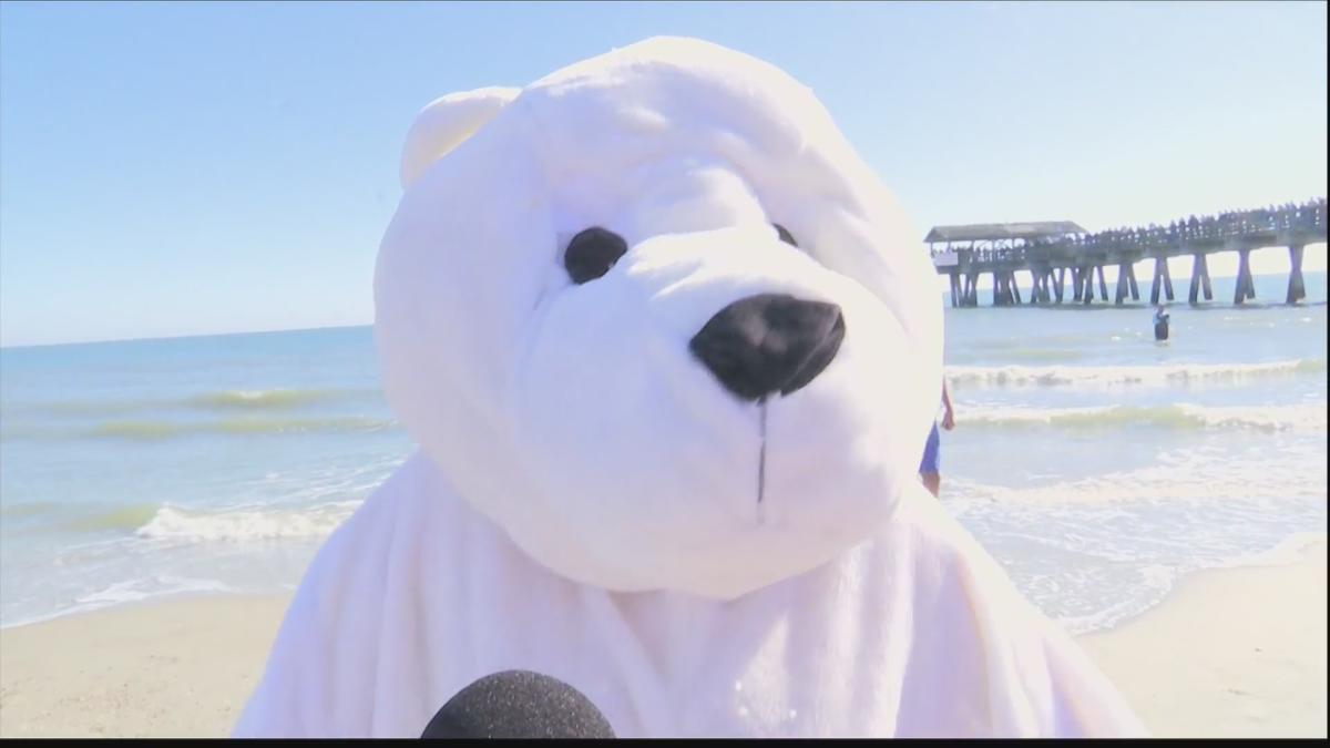 2024 Tybee Island Polar Plunge