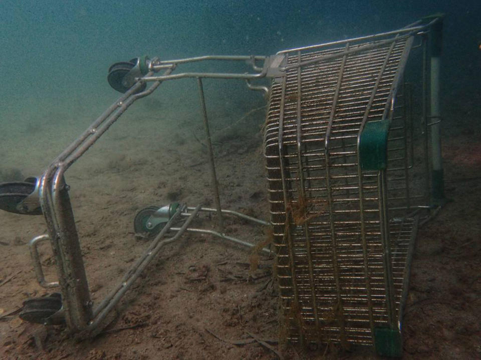 A discarded shopping trolley underwater.