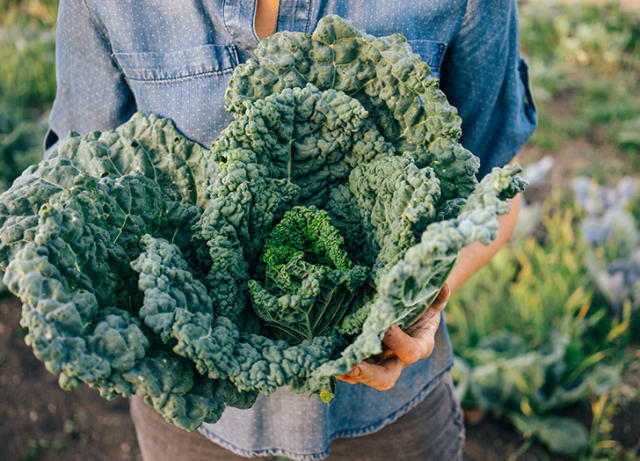 15 Healthiest Vegetables To Eat, According To Nutritionists