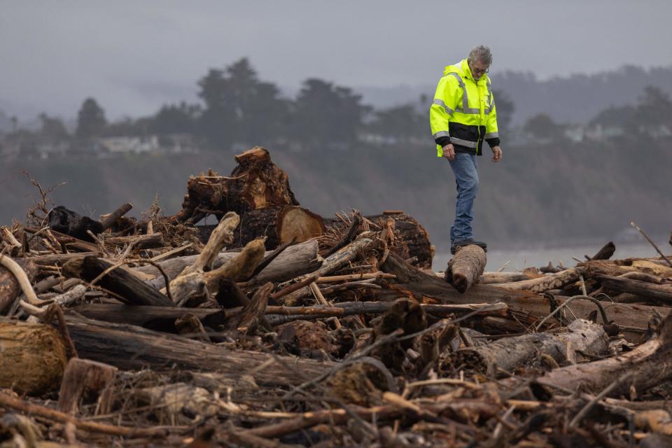 A man look at trees that were swept into the ocean by recent storms and washed ashore on the beach in Capitola, California, on January 15, 2023.