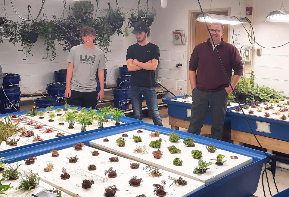 The dirty water from the channel catfish tanks at Berlin Brothersvalley High School is filtered by plants growing in the water. From left, are students Brady Guindon and Jackson Will, and agriculture teacher Dan Miller.