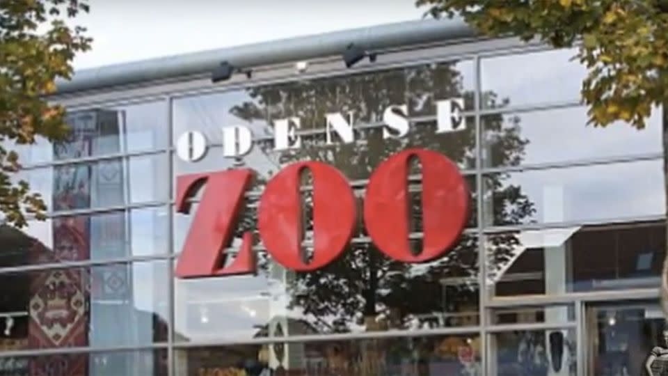 Danish Zoo Slammed For Inviting Children To Watch Public Dissection Of A Lion