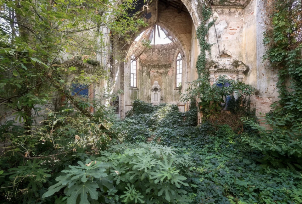 The inside of the church is covered in plants and vines, to the point you can't even see the floor