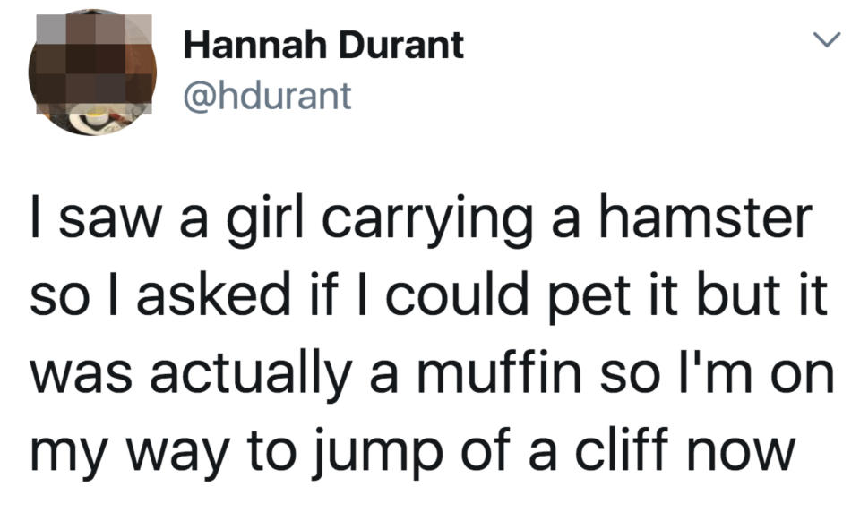 Tweet: "i saw a girl carrying a hamster so i asked if i could pet it but it was actually a muffin"