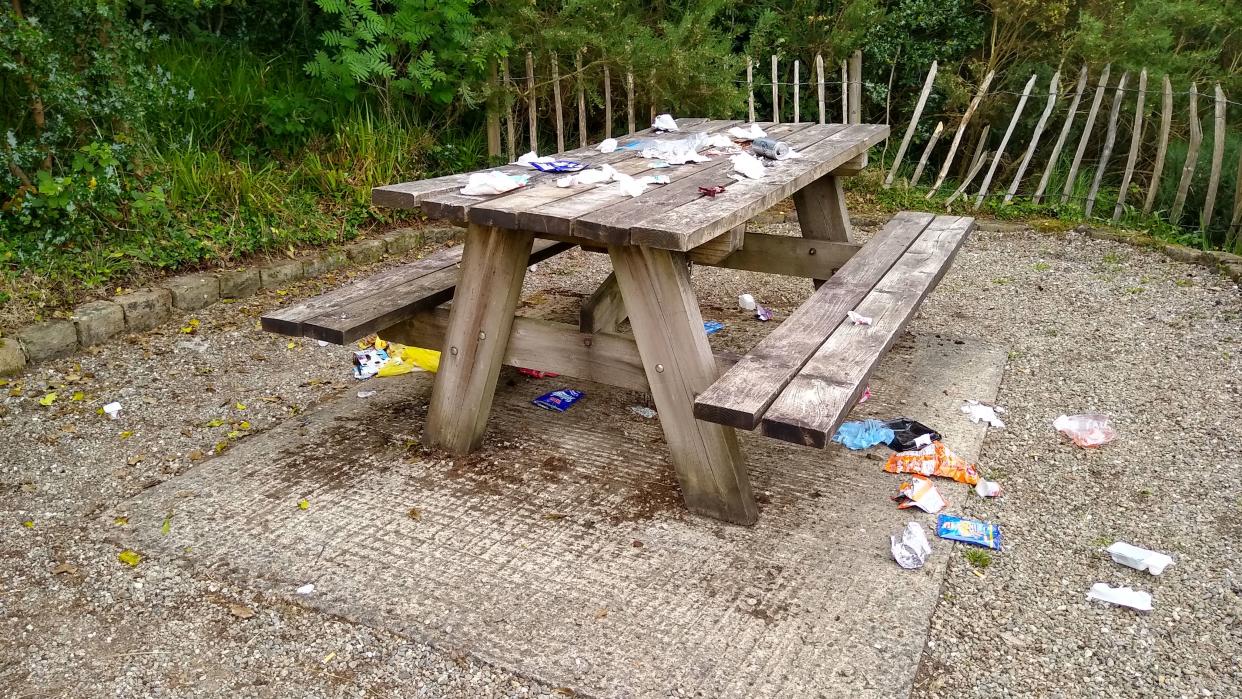 Litter and rubbish left behind by picnickers at a country park