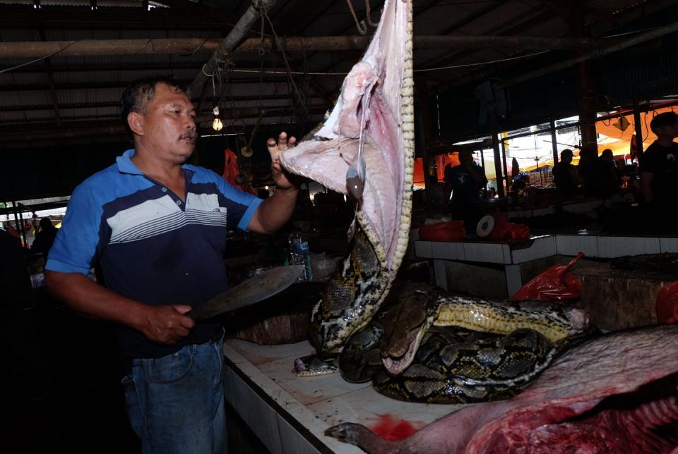 <span class="caption">A vendor slicing up a large snake at an Indonesian market, where they offer exotic fare that includes bats and rats.</span> <span class="attribution"><a class="link " href="https://www.gettyimages.com/detail/news-photo/this-photo-taken-on-february-8-2020-shows-a-vendor-slicing-news-photo/1200229102?adppopup=true" rel="nofollow noopener" target="_blank" data-ylk="slk:Getty Images / Ronny Adolof Buol / AFP;elm:context_link;itc:0;sec:content-canvas">Getty Images / Ronny Adolof Buol / AFP</a></span>