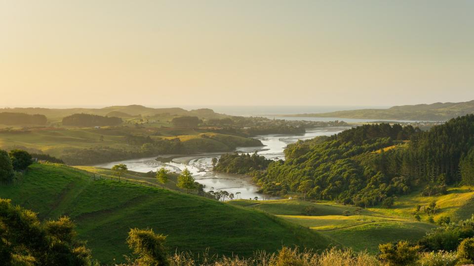 Waikato - getty