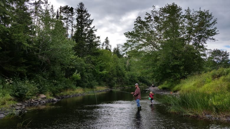 Late summer fishing bans sought for central B.C. rivers