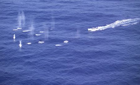 A Spanish frigate, Blas De Lezo helicopter fires warning shots in front of a suspected pirate skiff in the Gulf of Aden in this NATO handout file photo made available June 3, 2009. REUTERS/NATO/Handout