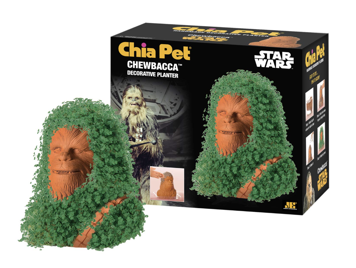 Star Wars Chia Pet