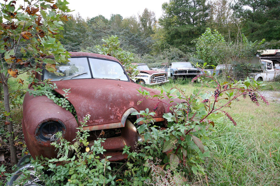 <p>This Henry J clearly hasn’t moved in a very long time. It was found in Old Car City, undoubtedly one of the greatest vintage salvage yards in the US. We were told by one of the guys working in the yard that it’s a 1952 Vagabond, which means it’s one of 15,900 built. </p><p>These entry level cars were severely lacking in creature comforts, with tail lights, reversing lights, a heater and even an opening <span>boot </span>lid all being options.</p>