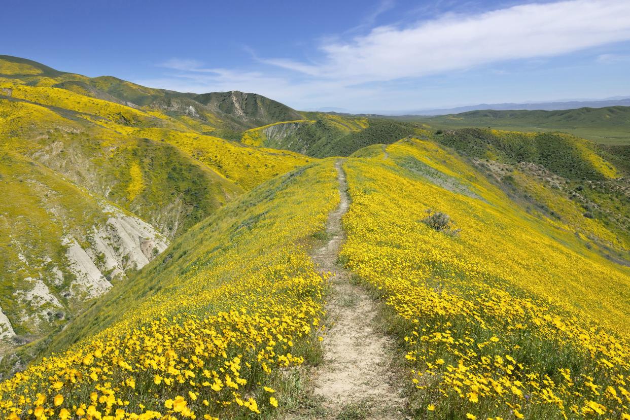 Carrizo Plain National Monument, California