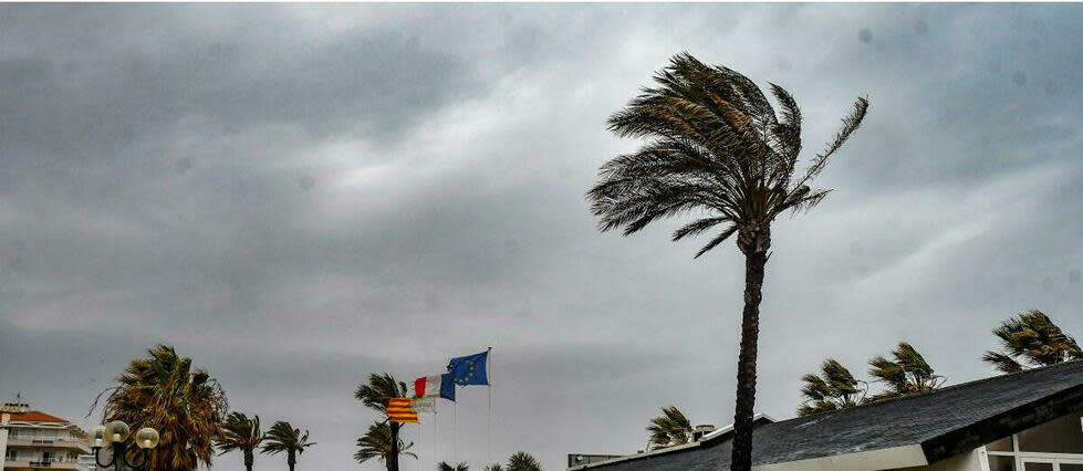 Le vent de sud-ouest se renforcera en soirée avec des pointes à 80-90 km/h, voire 100-110 km/h (photo d'illustration).  - Credit:MICHEL CLEMENTZ / MAXPPP / PHOTOPQR/L'INDEPENDANT/MAXPPP