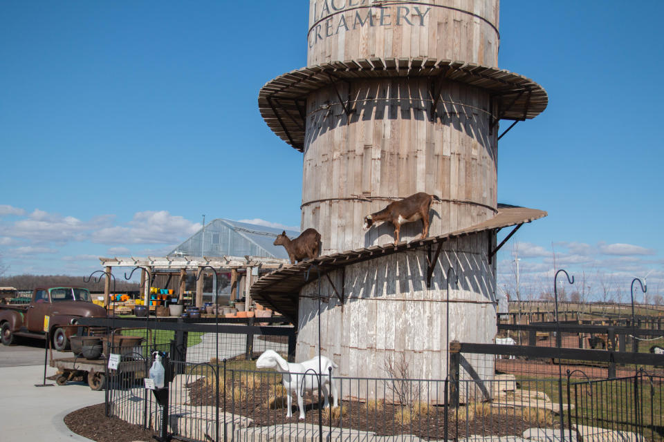 The 110-year-old wooden goat climbing tower from the Watertown farm of Jim Ostrom's mother, is the centerpiece of the courtyard that features a garden center, animal displays, cheese sales, outdoor shopping areas and an inviting place for visitors to rest and relax.