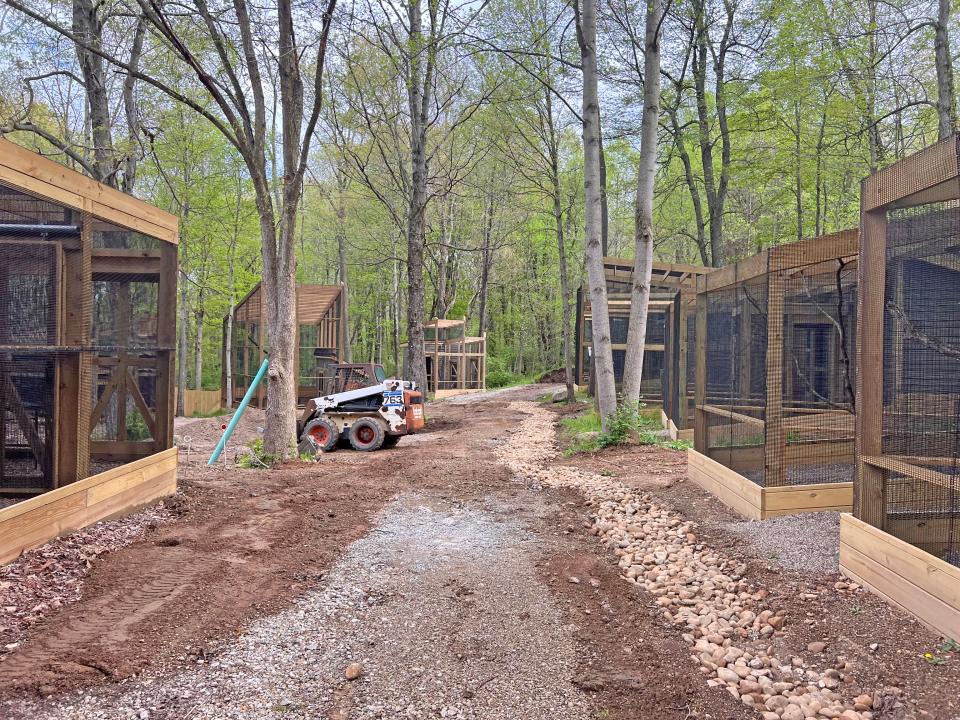 The new Avian Encounters area is still under construction and expected to open this fall.