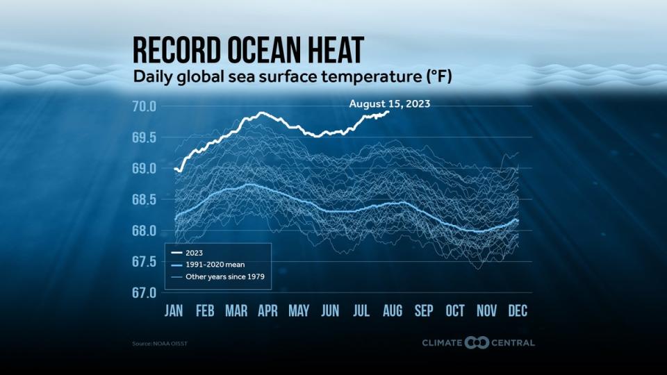 Record ocean temperatures 2023 (Climate Central)