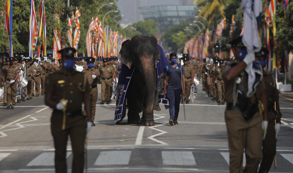 Sri Lankan police officers march during the 73rd Independence Day parade rehearsal with an elephant calf in Colombo, Sri Lanka, Wednesday, Feb. 3, 2021. Sri Lanka's independence from British colonial rule is celebrated on Feb. 4 each year. (AP Photo/Eranga Jayawardena)