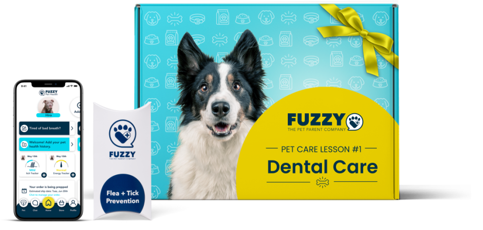 gifts-for-dog-lovers-Fuzzy's New Pet Care Fundamentals program