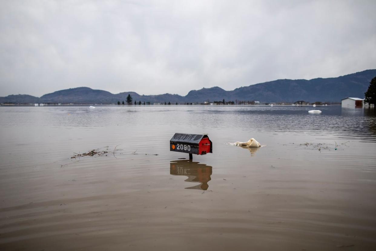 A mailbox is surrounded by floodwaters in the Sumas Prairie flood zone in Abbotsford, British Columbia, on Monday, Nov. 22, 2021.  (Ben Nelms/CBC - image credit)