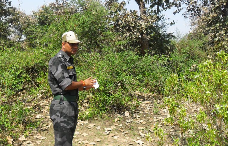 A photograph taken on March 16, 2013, shows an Indian security official examining the site where a Swiss female tourist was raped near Gwalior. Five villagers have confessed to gang-raping a Swiss tourist in central India, police said Sunday, in an incident that renewed focus on the rampant violence against women in the country