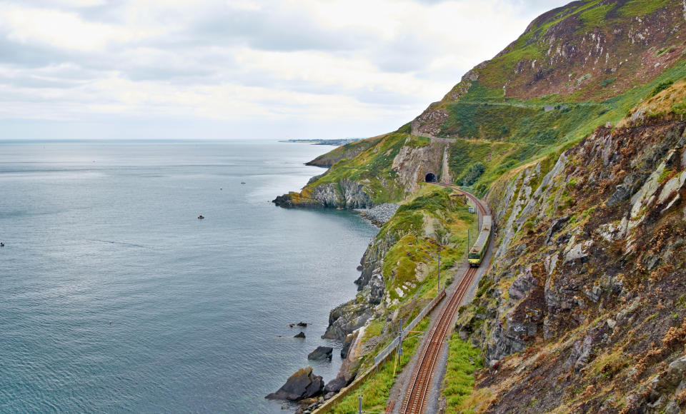 Eine Zugfahrt durch das grüne Irland kann wunderschön sein. Das dachte sich wohl auch Hund “Hamish” und stieg ohne seine Besitzer zu. Foto: Symbolbild / gettyimages / Dejan-Deko