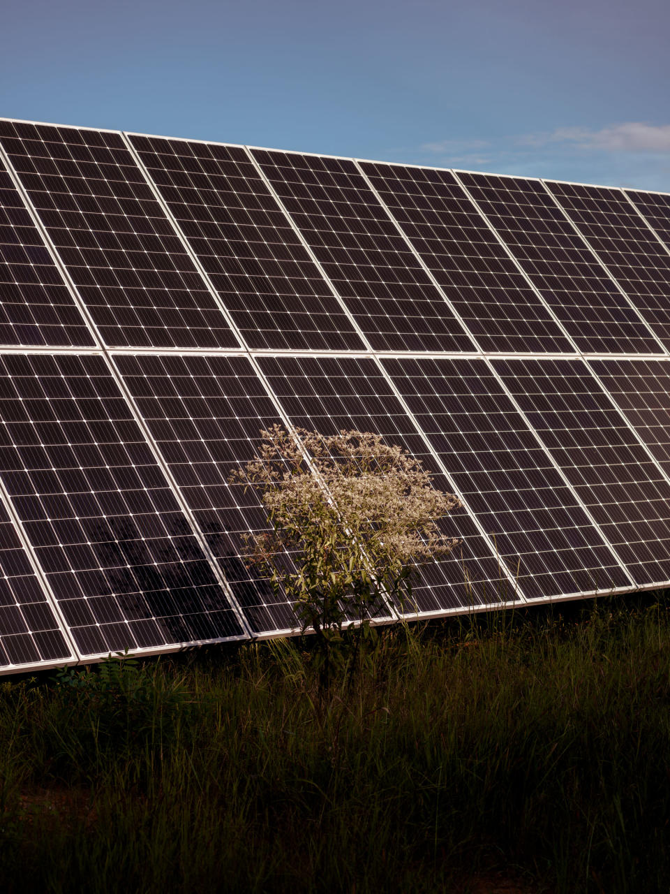 Solar panels on the 526 acre plot at Hawtree Creek in North Carolina.<span class="copyright">Will Warasila for TIME</span>