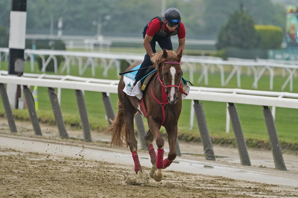 France Go De Ina trains the day before the 153rd running of the Belmont Stakes horse race in Elmont, N.Y., Friday, June 4, 2021. (AP Photo/Seth Wenig)