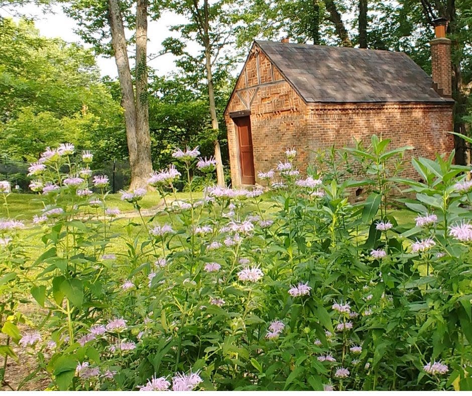 Harlan Hubbard's studio behind the house he built for his mother in Fort Thomas, Kentucky