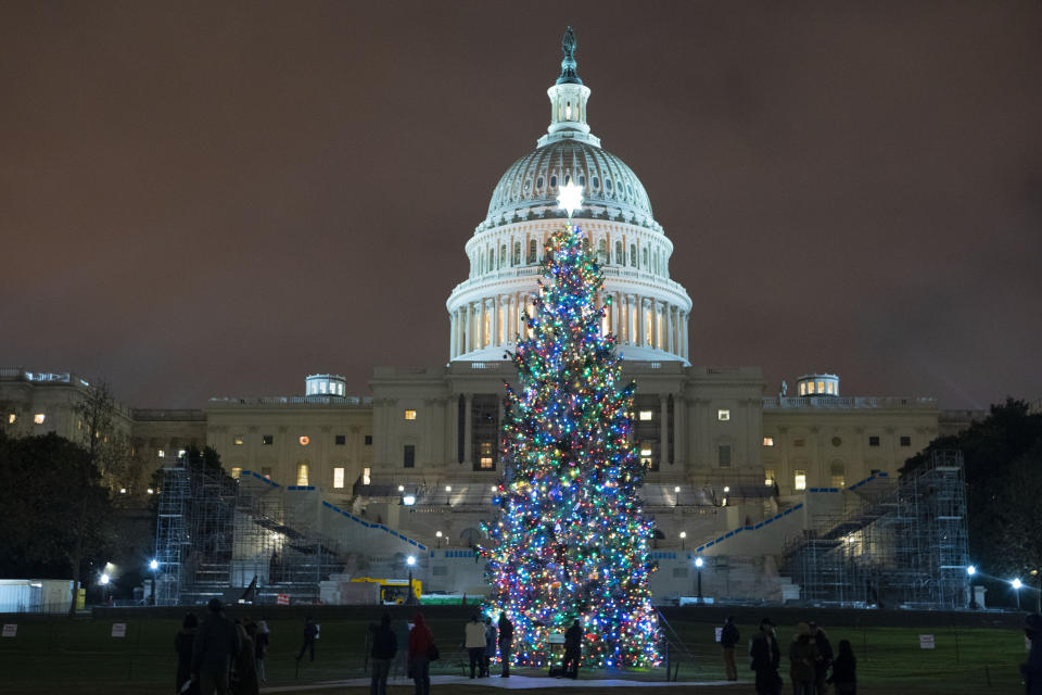 U.S. Capitol Christmas Tree is seen at the U.S. Capitol at night after negotiators sealed a deal for COVID relief Sunday, Dec. 20, 2020, in Washington. Top Capitol Hill negotiators sealed a deal Sunday on an almost $1 trillion COVID-19 economic relief package, finally delivering long-overdue help to businesses and individuals and providing money to deliver vaccines to a nation eager for them. (AP Photo/Jose Luis Magana.