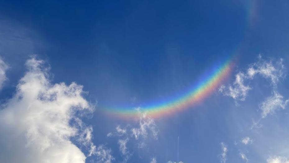 Circumzenithal arc