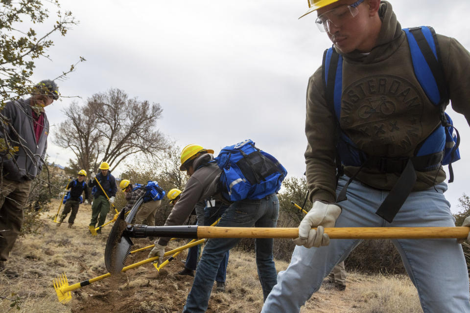 Wildfire Academy student dig a handline, Monday, March 11, 2024, in Prescott, Ariz. Forecasters are warning that the potential for wildfires will be above normal in some areas across the United States over the coming months as temperatures rise and rain becomes sparse. (AP Photo/Ty ONeil)