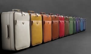 Luggage bags