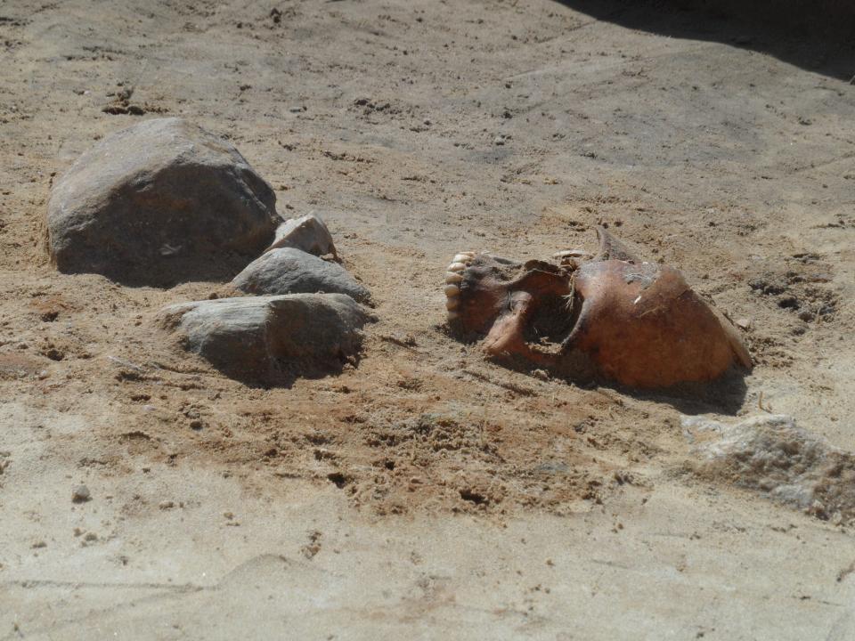 Archeologists also found a collection of loose bones near the child's gravesite, as well as a pregnant woman.