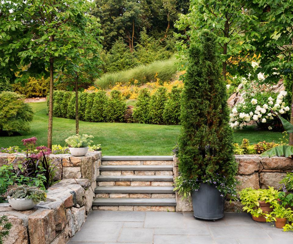 landscaped garden with steps and large tree in container