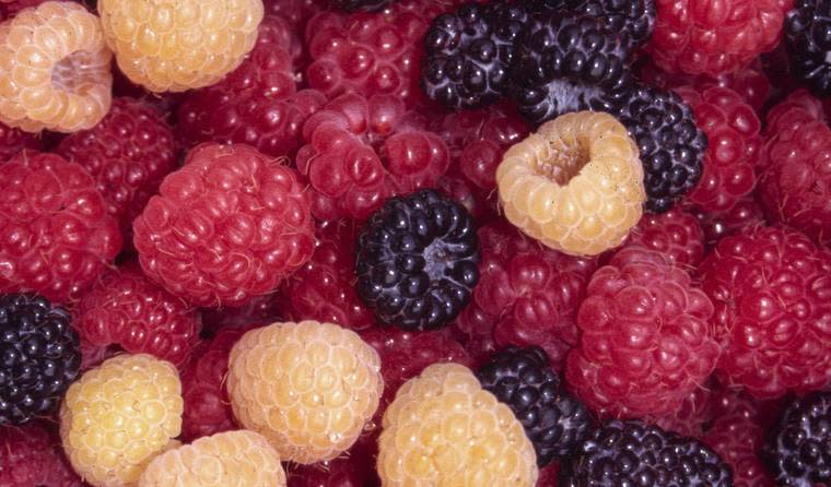 10 High Fiber Foods You Didn't Know Were Good for Your Gut