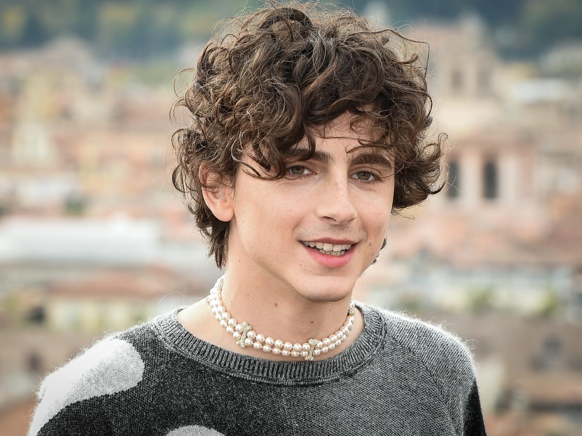 timothée chalamet told greta gerwig that he should have been in the