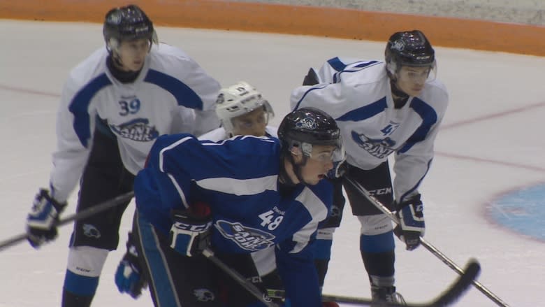 Sea Dogs back in playoff action Friday, Saturday