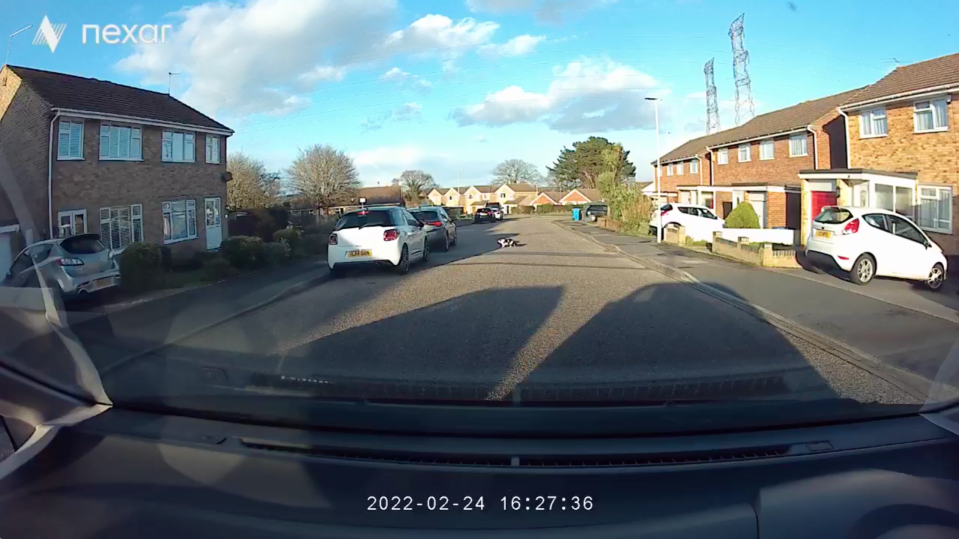 A car dashboard below a view of a road