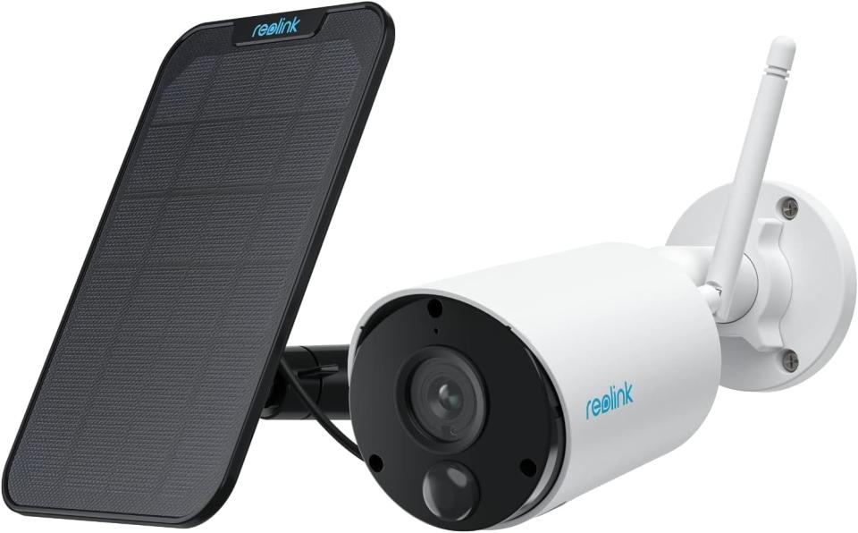 Reolink's Solar Outdoor Security Camera at 50% Begs To Be On a Tree