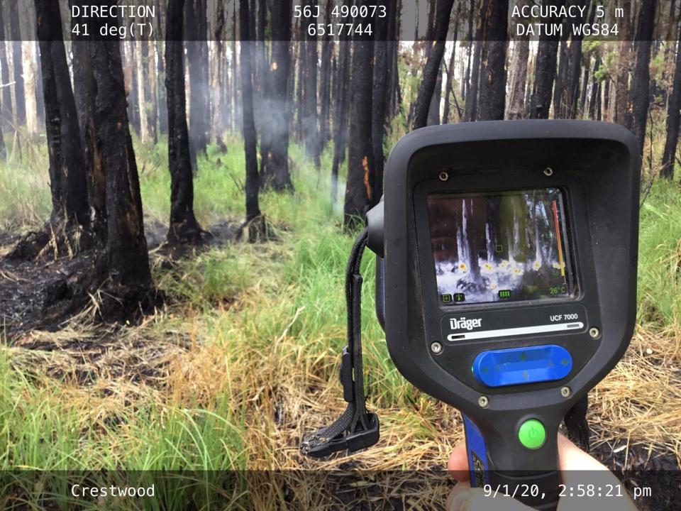 This camera shows areas in white being the hottest. Source: NSW National Parks and Wildlife Service